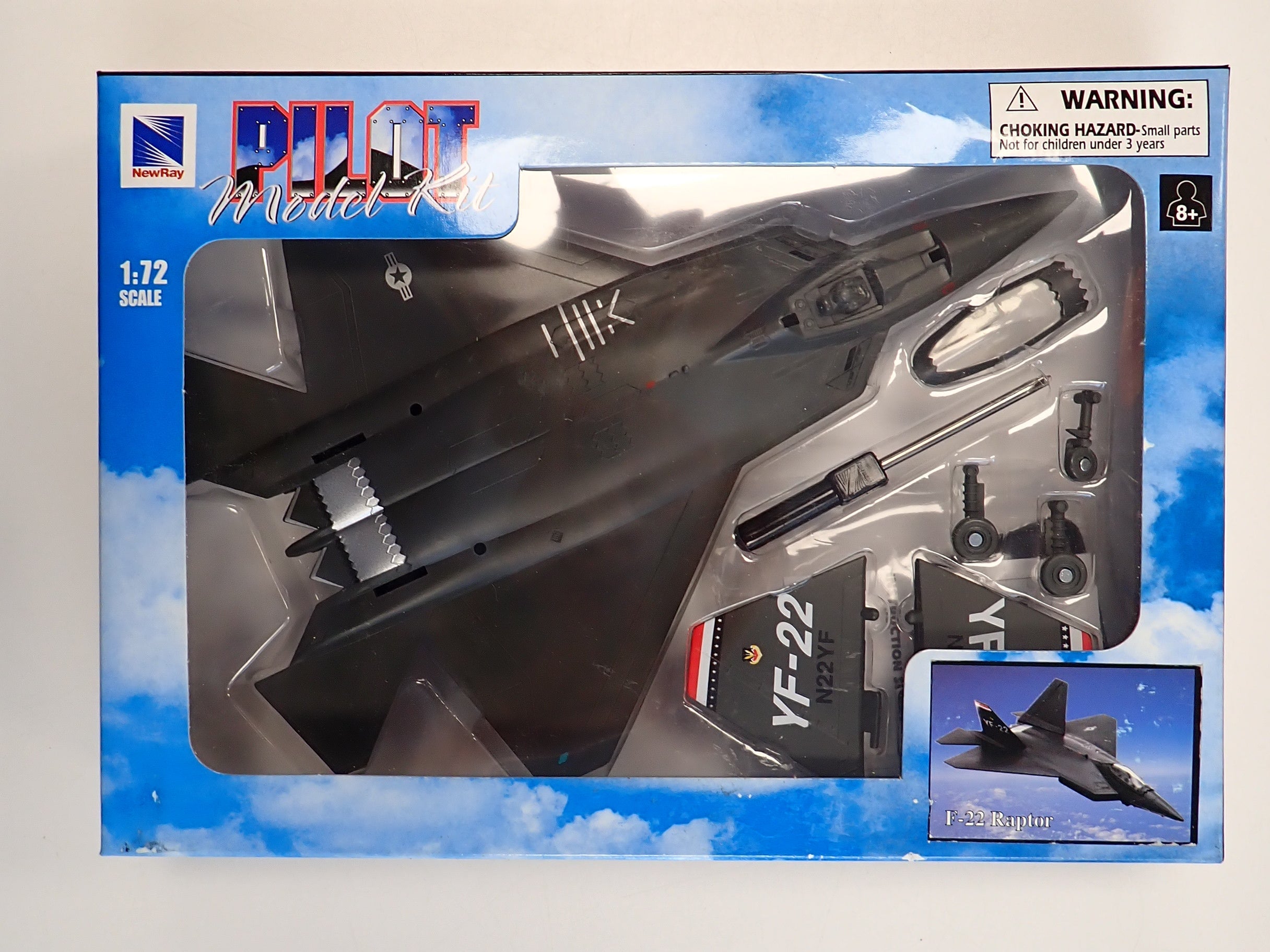 F-22 Raptor 1:72 Scale Pilot Model Kit New Ray [Pre-Owned]