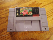 Kirby's Dream Land 3 - SNES