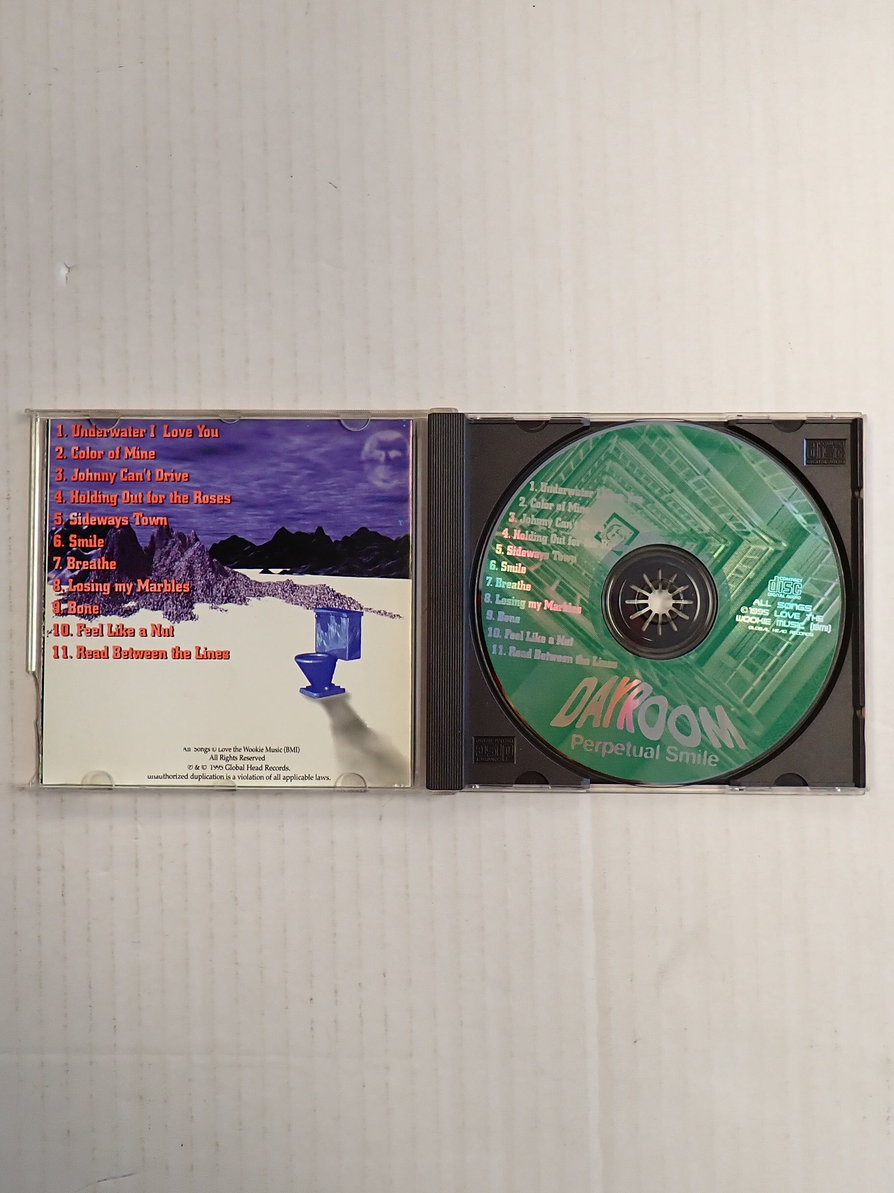 Dayroom - Perpetual Smile - CD [Pre-Owned]