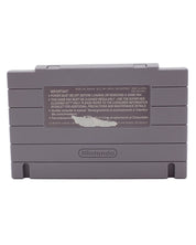 Sim Earth the Living Planet [Loose] - SNES