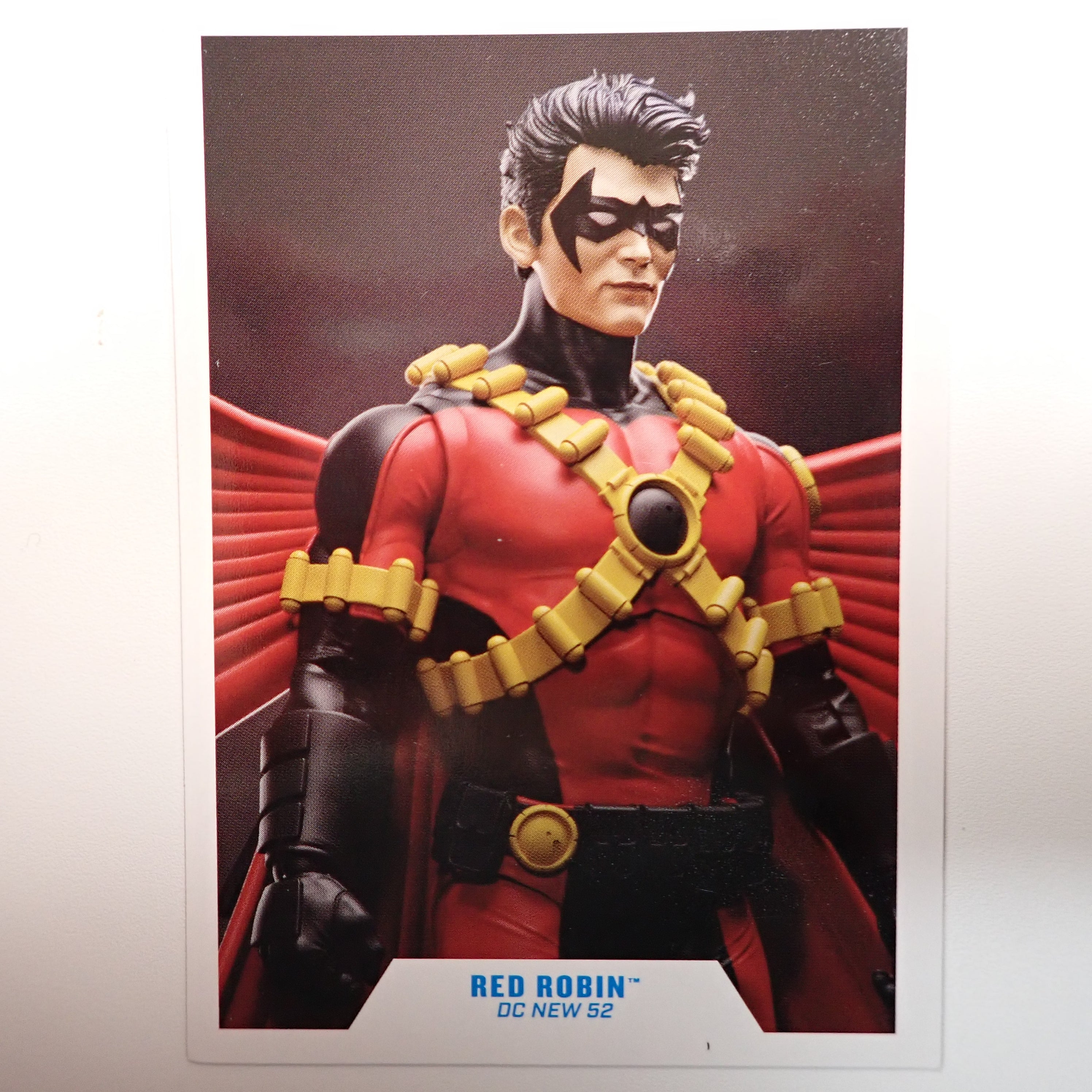 Red Robin - DC Multiverse