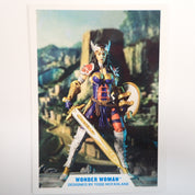 Wonder Woman - DC Multiverse