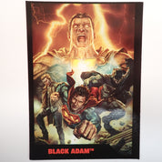Black Adam - DC Multiverse