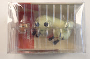 Shippo & Kirara, Inuyasha - Popup Parade [Pre-Owned]