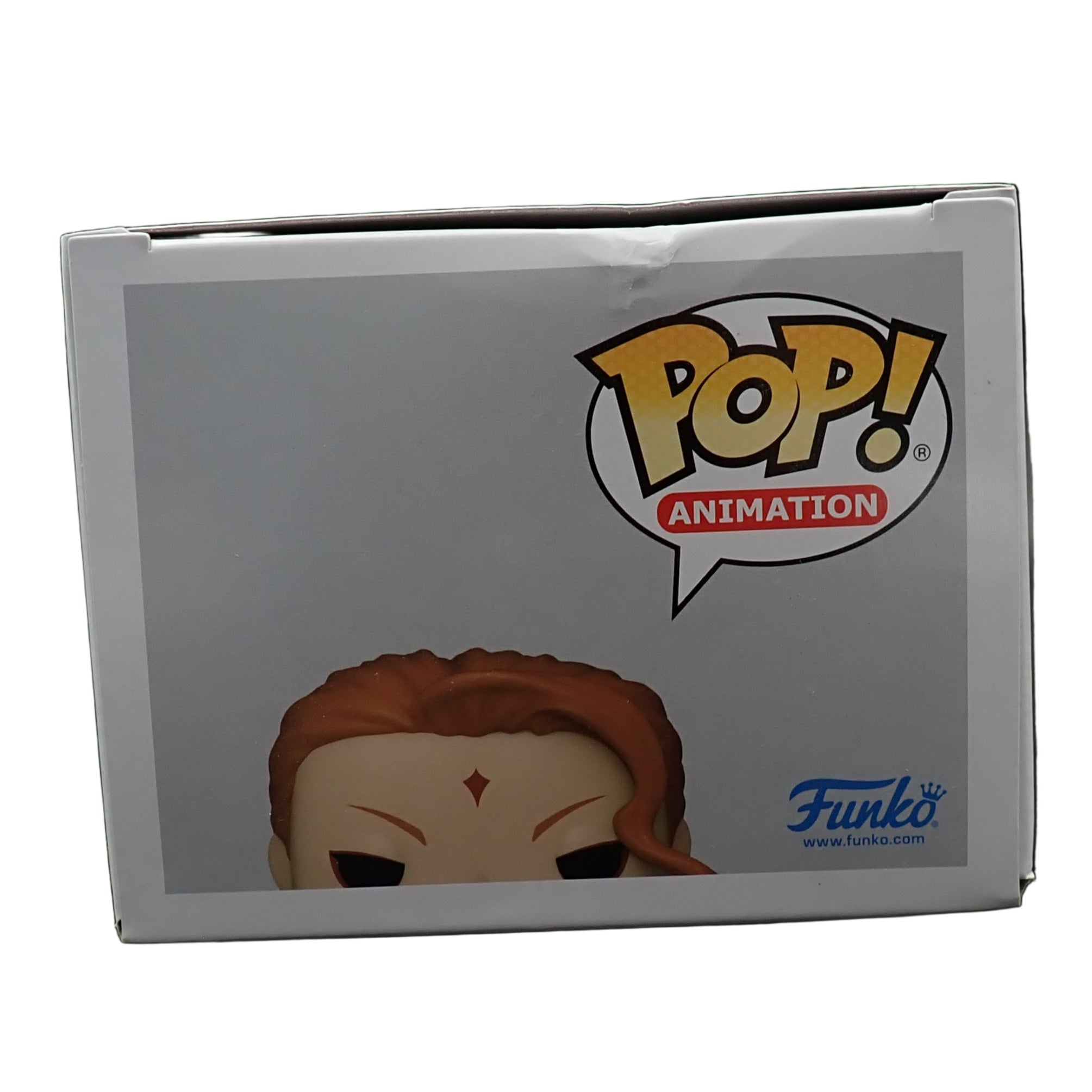 Fuegoleon - POP! #1555