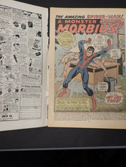Amazing Spider-Man #101 (1971) FR