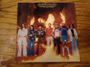 Lynyrd Skynyrd - Street Survivors