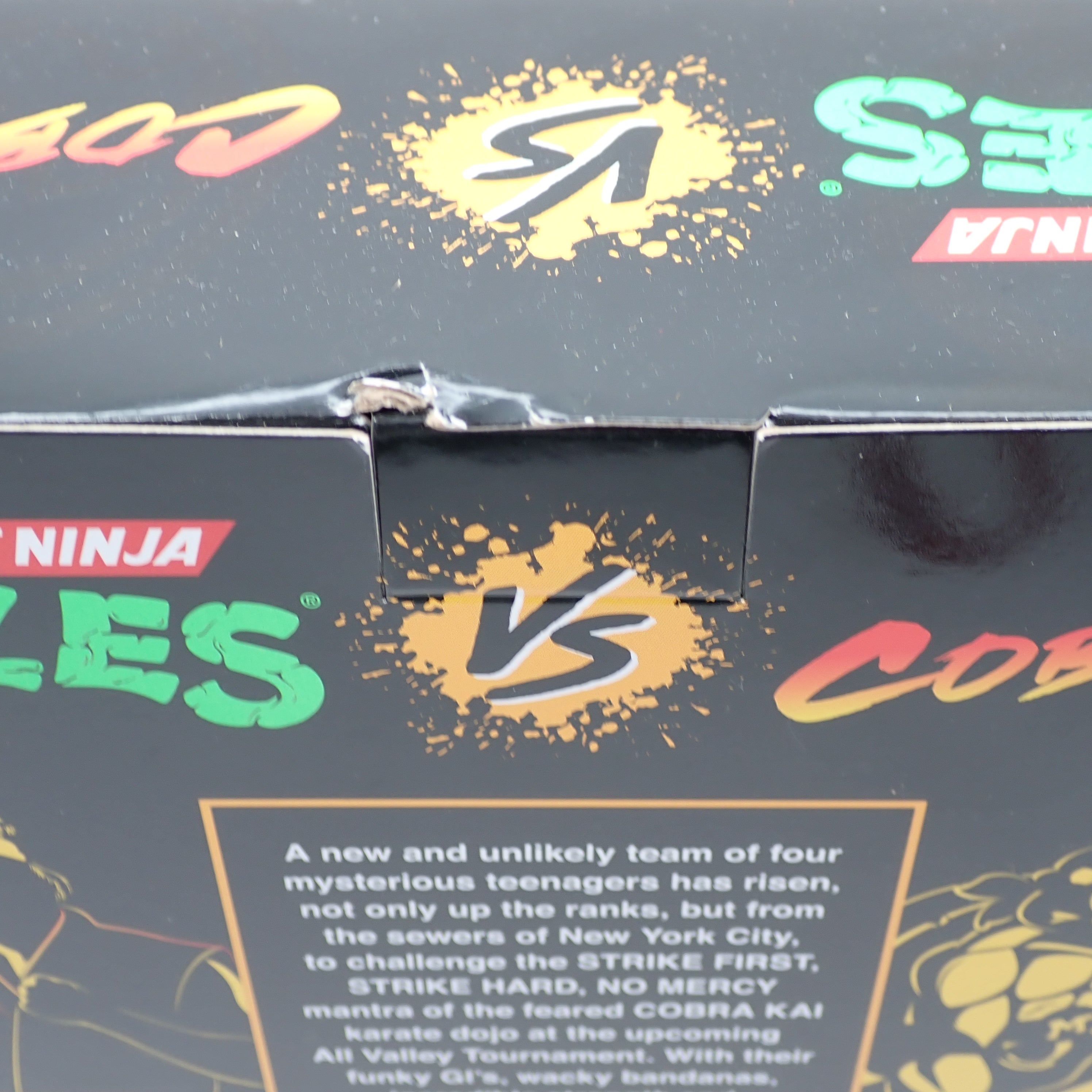 Donatello vs. Johnny Lawrence - TMNT vs Cobra Kai