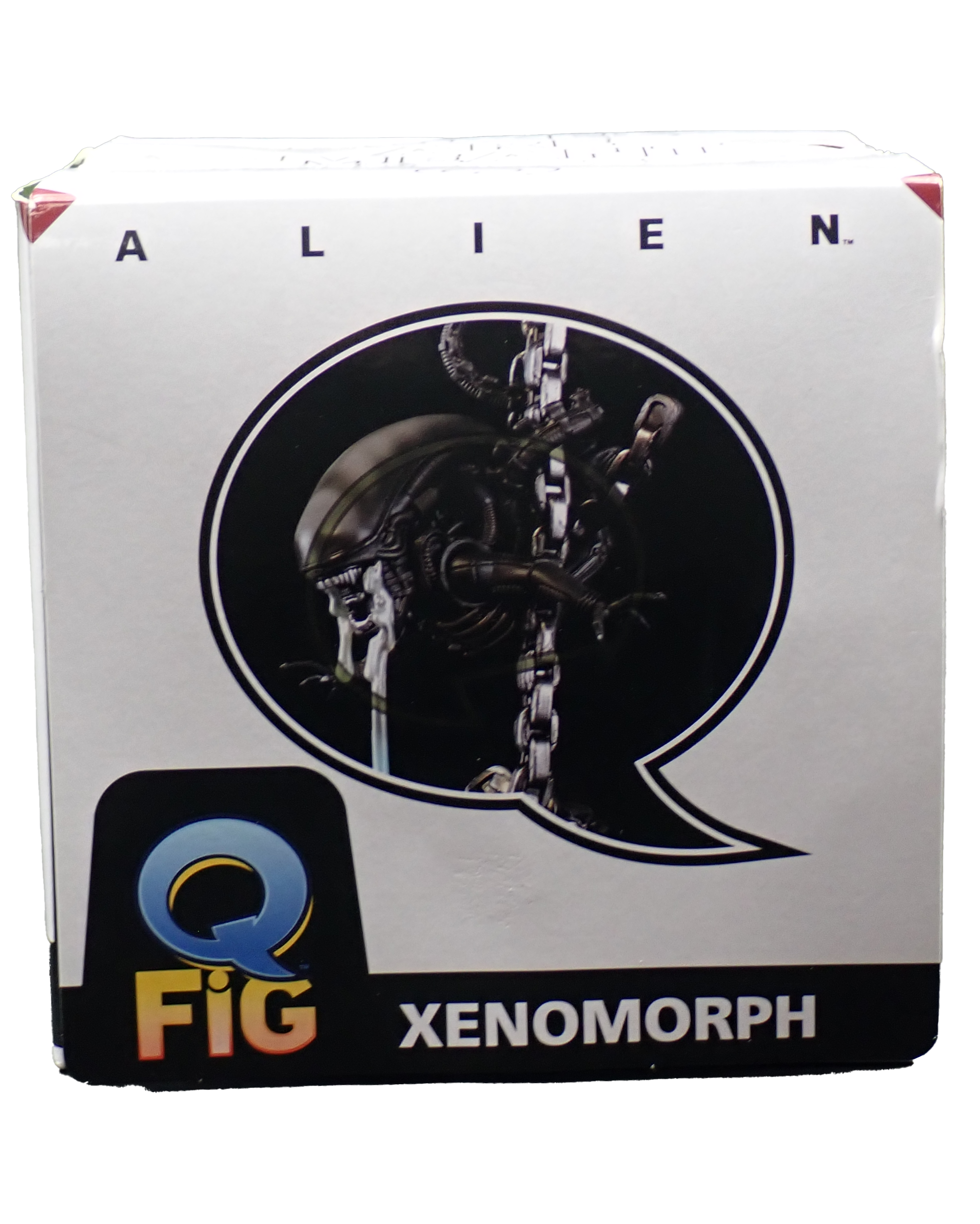 PB140005_5b3ef6d8-3848-4165-ac97-a9a15ad89eef.png