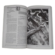 Priest's Spell Compendium Volume Three - AD&D