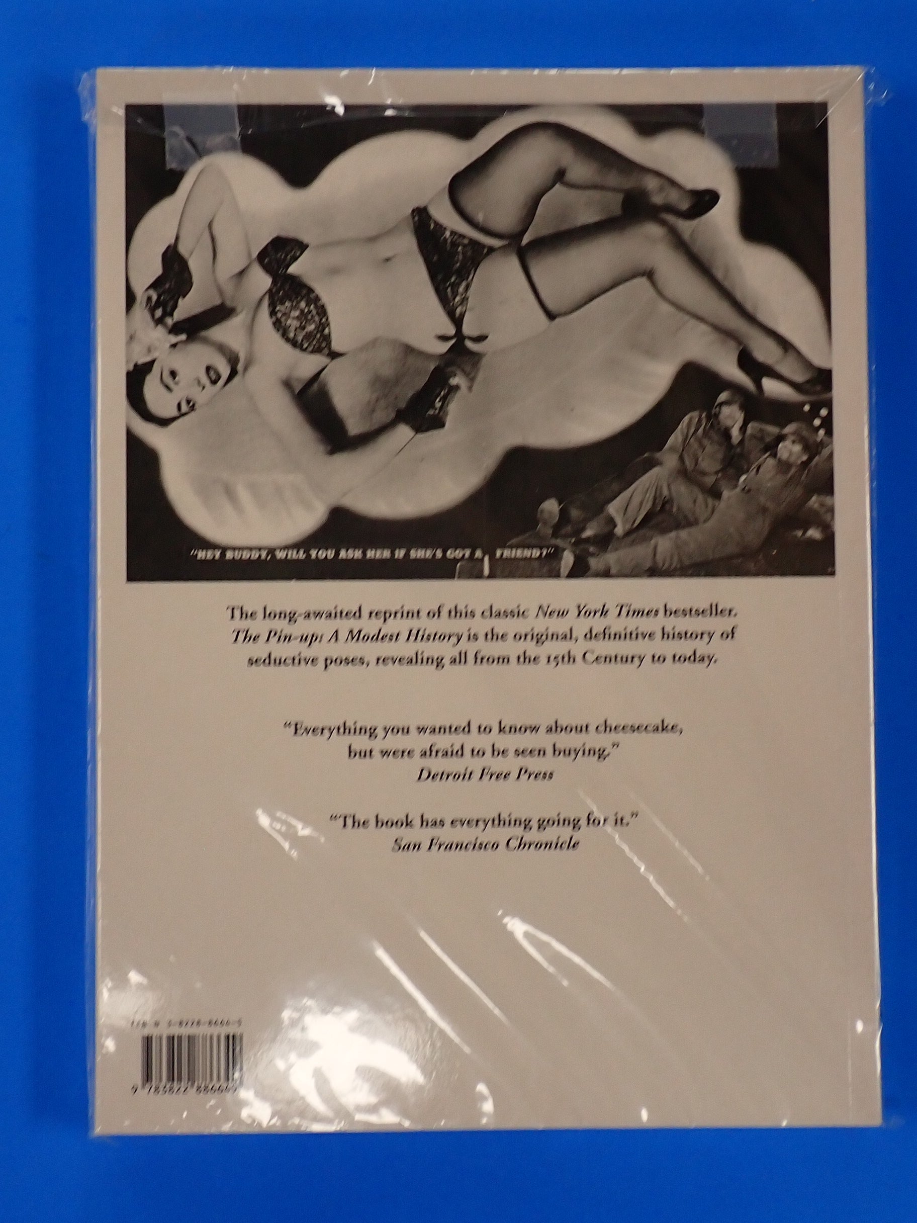The Pin-Up: A Modest History by Mark Gabor (Mature) TPB [Pre-Owned]