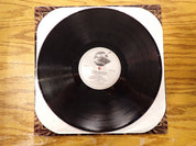 Jason Becker - Perpetual Burn