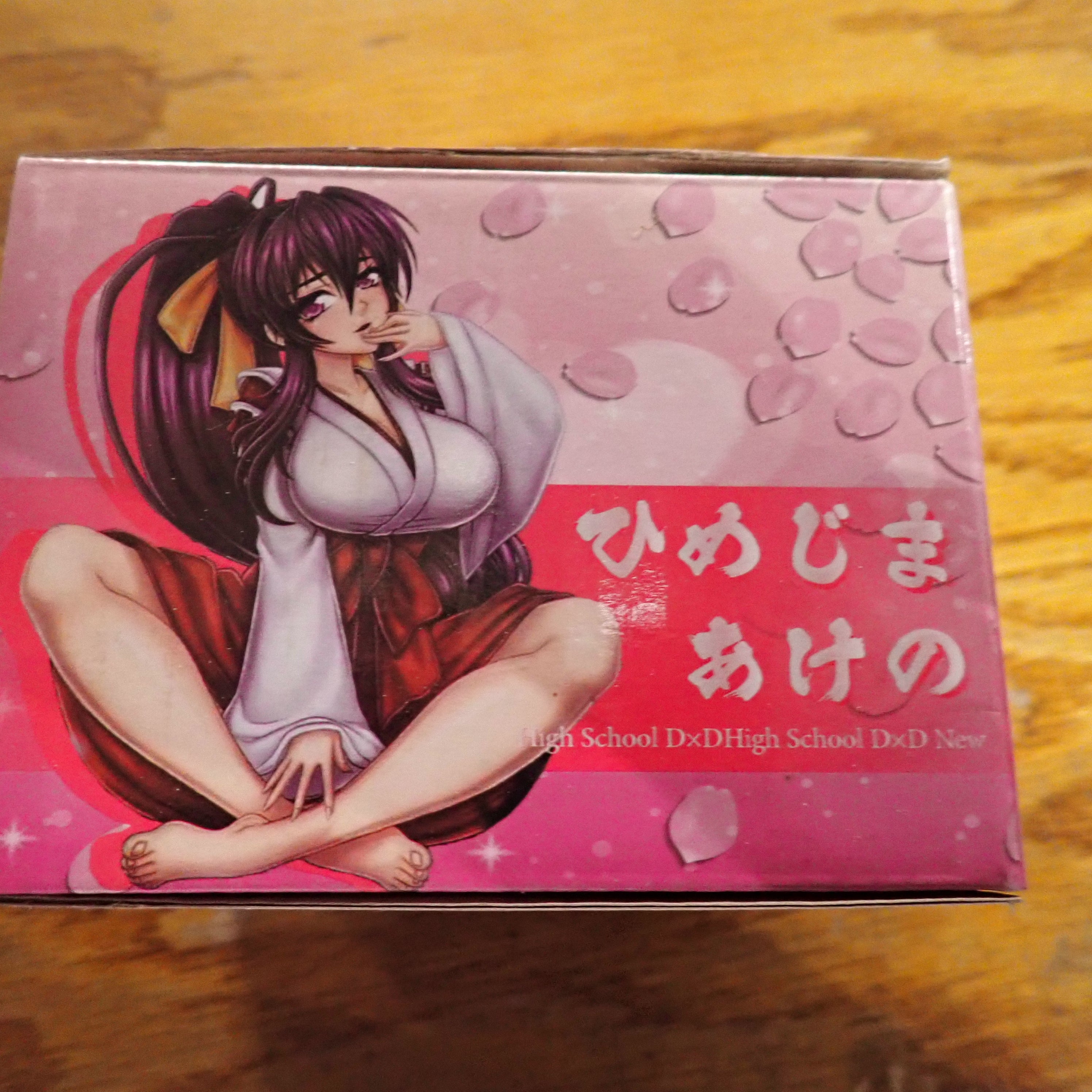 Akeno Highschool DXD Otaku Box Figure