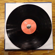 Foo Fighters - The Colour And The Shape