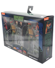 Raphael & Michelangelo - Teenage Mutant Ninja Turtles (1990) Figure