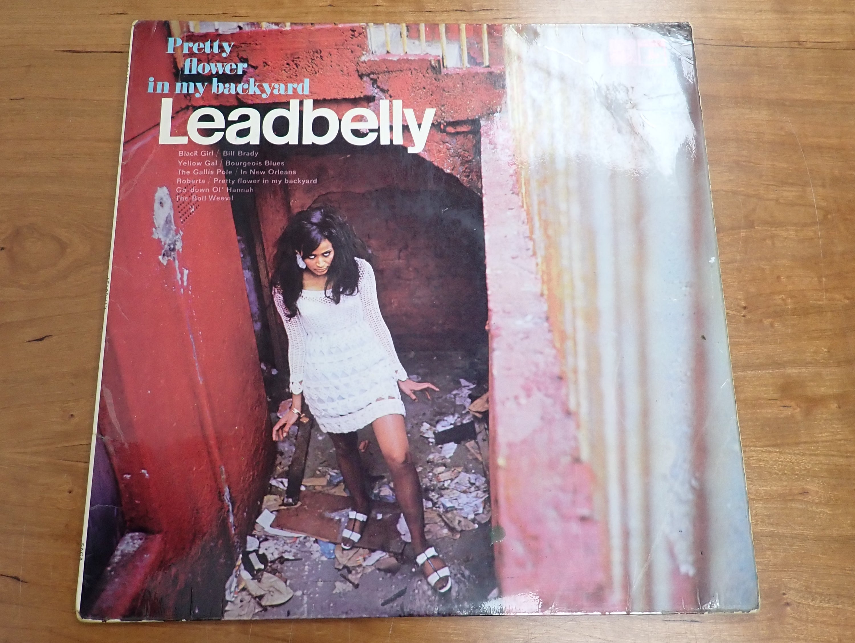 Leadbelly - Pretty Flower in my Backyard