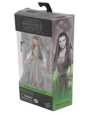 Leia (Ewok Village) (2022) - Black Series