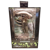 Alien: Xenomorph - NECA Figure [Pre-Owned]