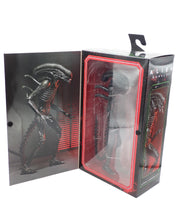 Xenomorph XX121 - NECA Figure