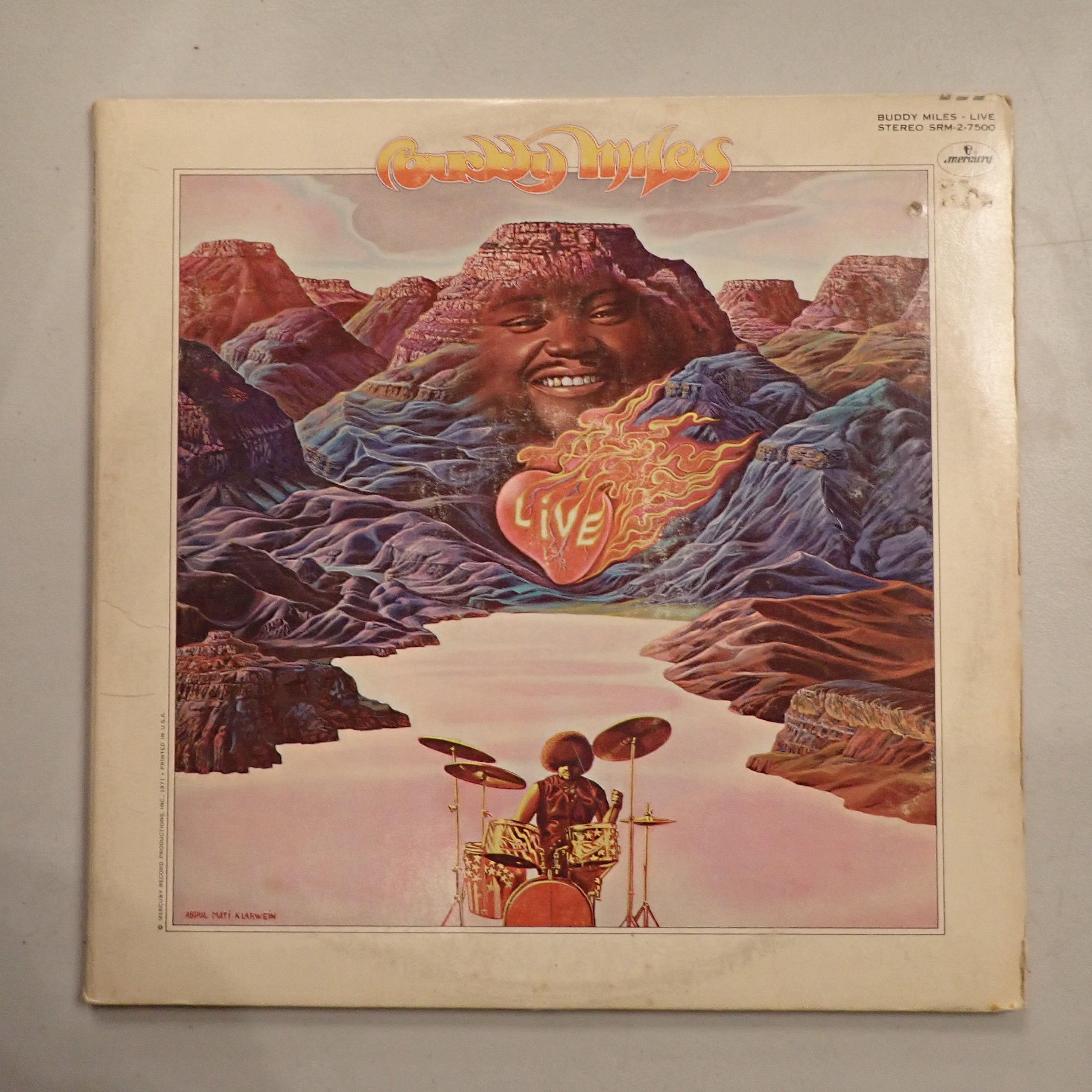 Buddy Miles - Buddy Miles Live