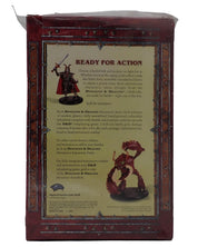 Entry Pack [Pre-Owned] - D&D Miniatures