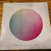 Gungor - One Wild Life: Soul