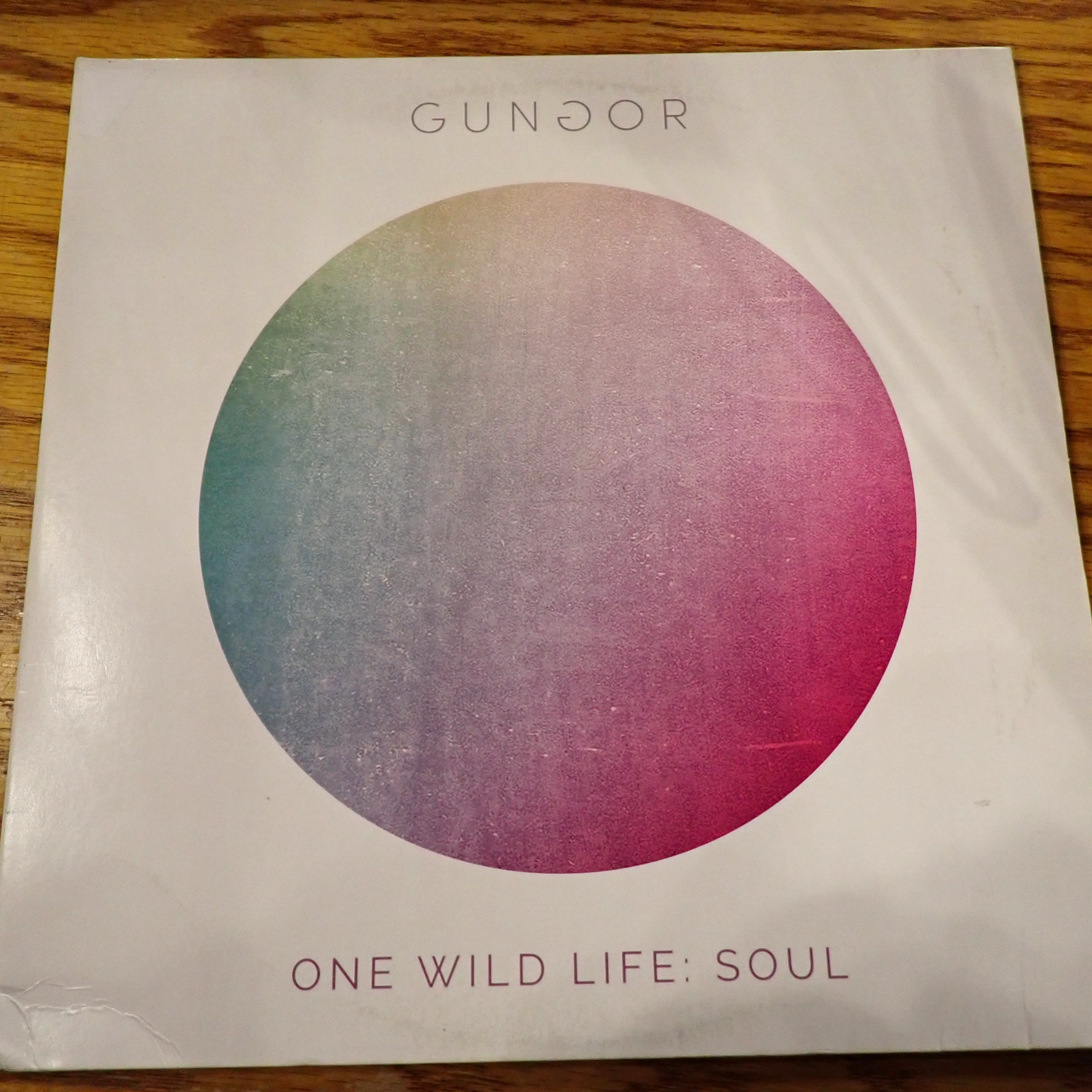 Gungor - One Wild Life: Soul