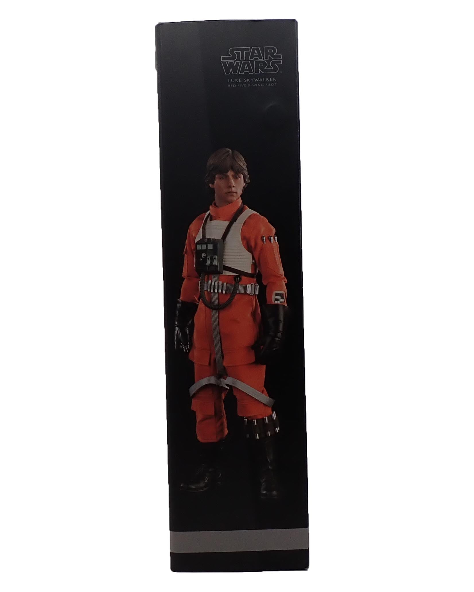 Luke Skywalker Red Five X-Wing Pilot