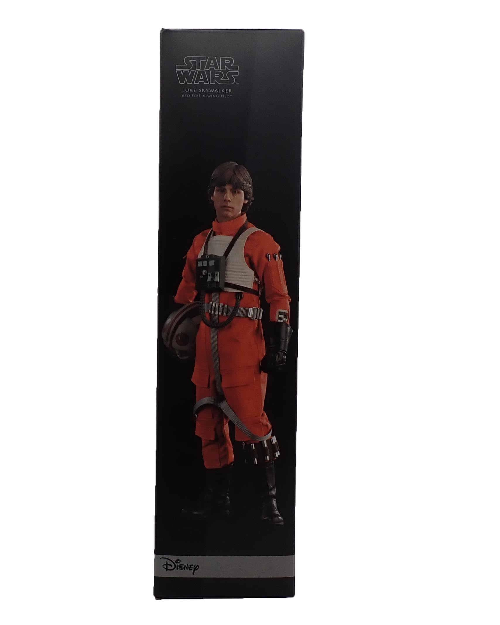 Luke Skywalker Red Five X-Wing Pilot