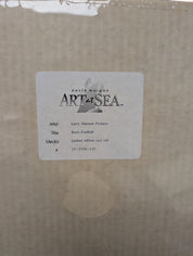 Bozo Football Limited Edition Seri Cel