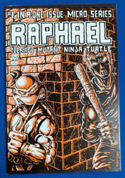 Raphael #1 (1985) - FN/VF (7.0) - 1st Casey Jones