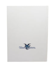 Tales of Zestiria Collector's Edition Official Guide
