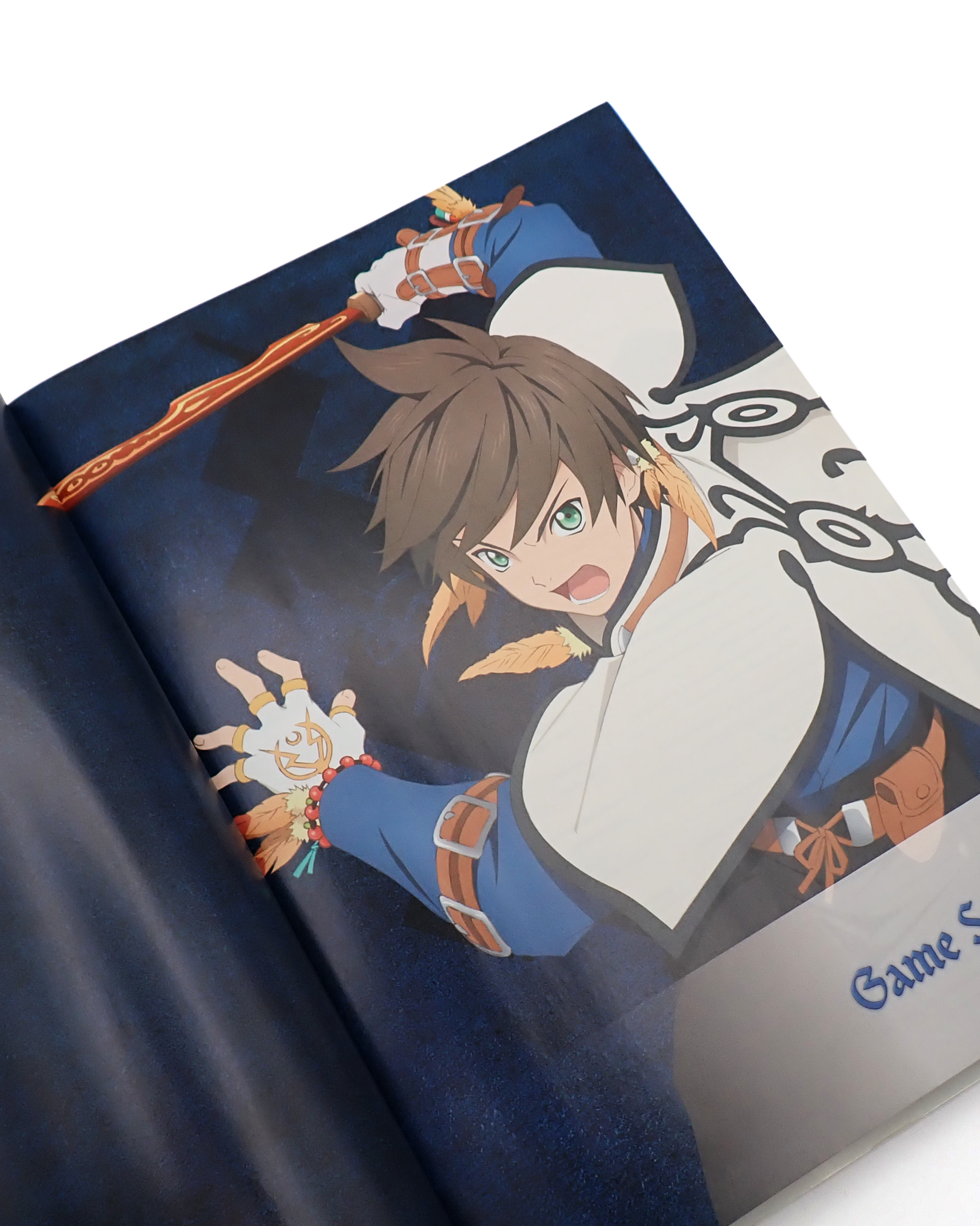 Tales of Zestiria Collector's Edition Official Guide