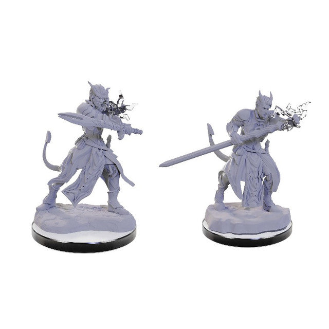 Dungeons & Dragons Nolzur's Marvelous Unpainted Miniatures: Tiefling Warlocks (Wave 22)