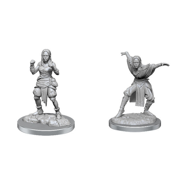 UPM17-055_Half-Elf_Monk_Female_LowLevel_UPM_HiresRender_result__67182.jpg