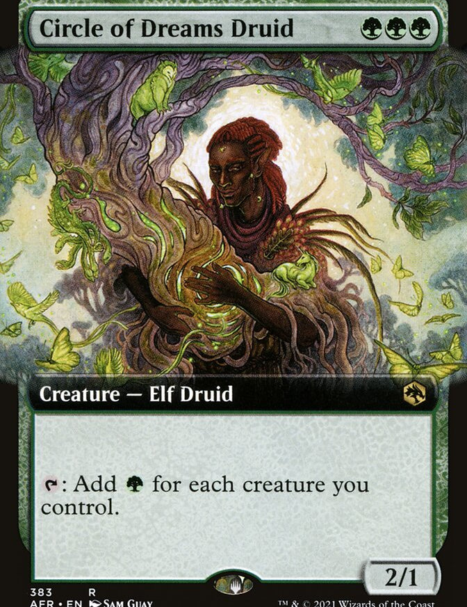 afr-383-circle-of-dreams-druid.jpg