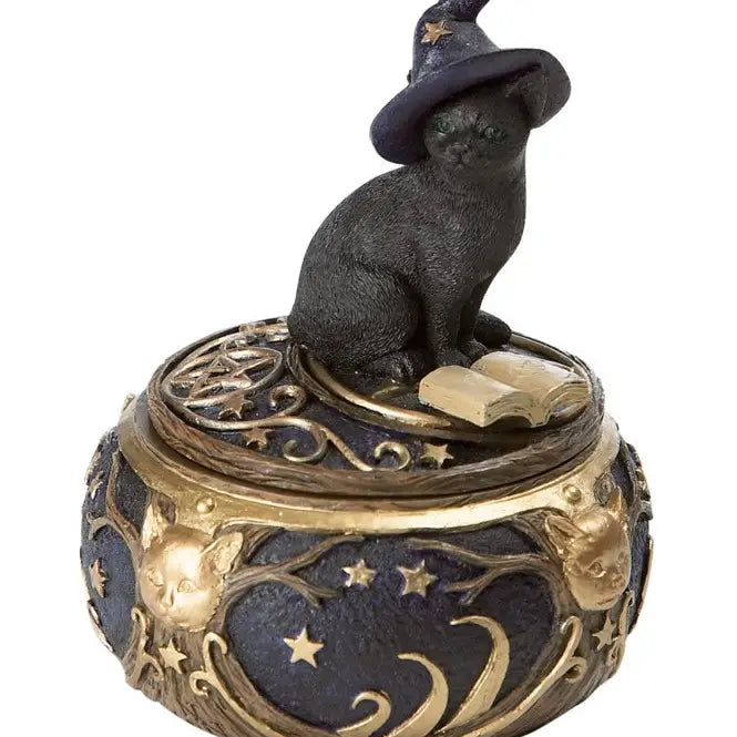 Magical Cat Box
