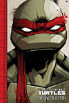 Teenage Mutant Ninja Turtles The IDW Collection Vol 1 (Used)