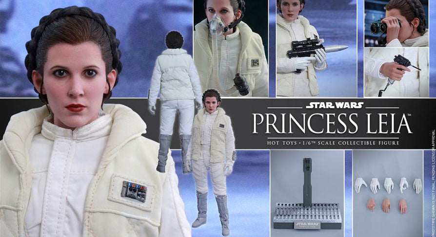 Princess Leia 1/6th Hot Toys MMS423