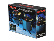 Load image into Gallery viewer, NECA Gremlins Christmas Carol Winter Scene Two-Pack (Set 1)
