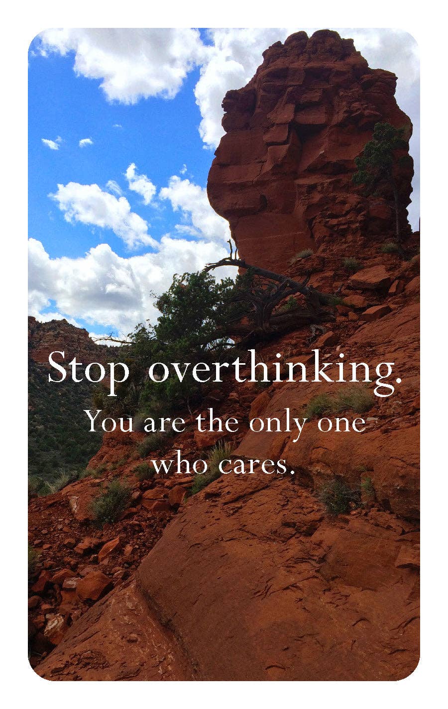 Disappointing Affirmations Deck