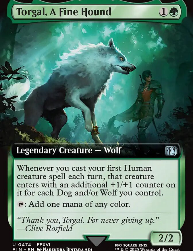 fin-474-torgal-a-fine-hound.jpg