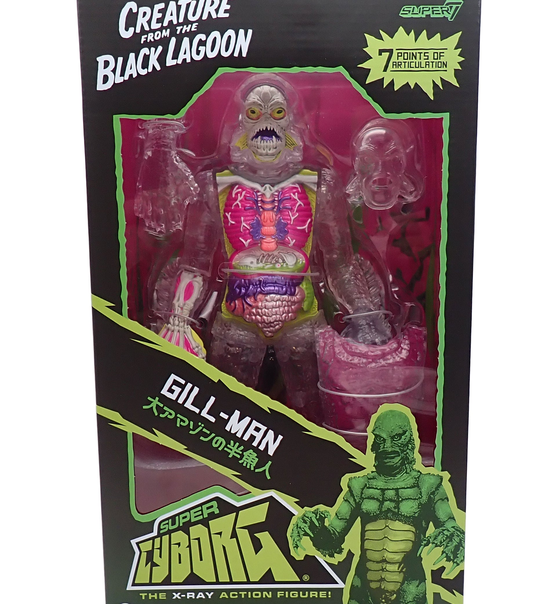 gill1.jpg
