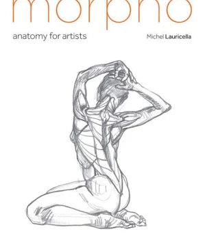 Morpho - Anatomy for Artists
