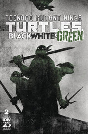 Teenage Mutant Ninja Turtles Black, White, & Green (2024) 1-4