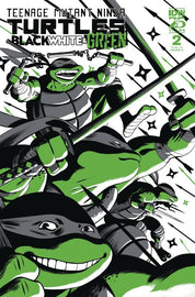 Teenage Mutant Ninja Turtles Black, White, & Green (2024) 1-4