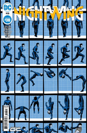 Nightwing (2016 Series, pt.2)