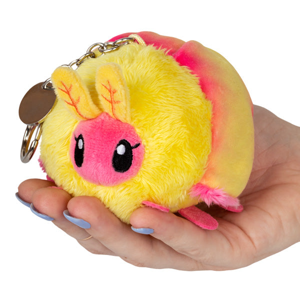 micro_rosy_maple_moth.jpg