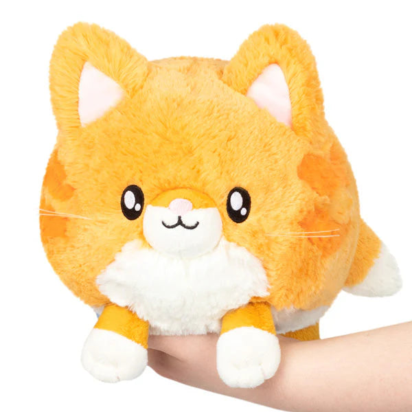 mini_kitty1.webp