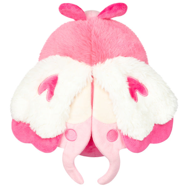 mini_lovebug_top.jpg